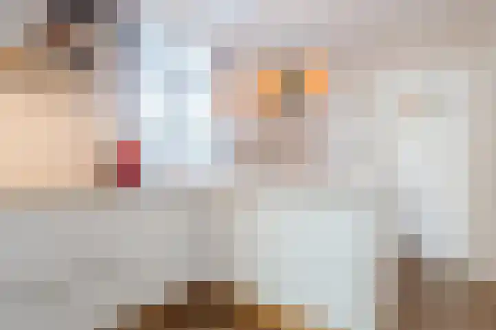 Jacobastraat 25 Velp thumbnail 17