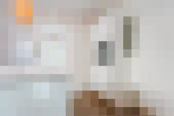 Jacobastraat 25 Velp thumbnail 18