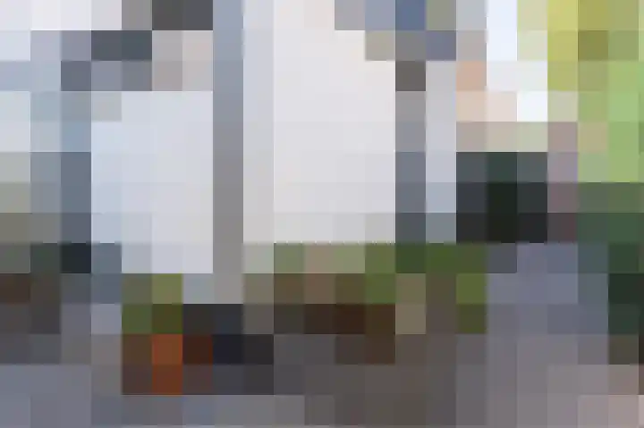 Jacobastraat 25 Velp thumbnail 43