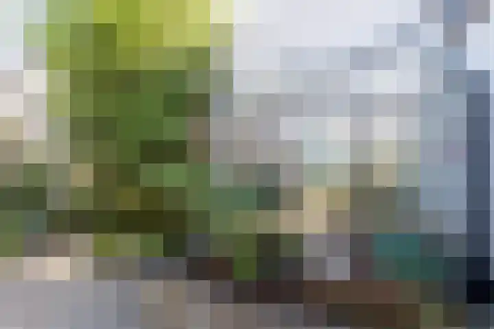 Jacobastraat 25 Velp thumbnail 44