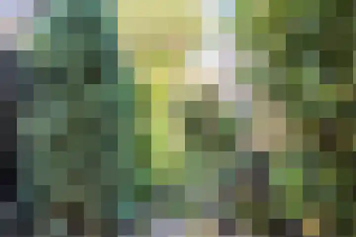 Jacobastraat 25 Velp thumbnail 46