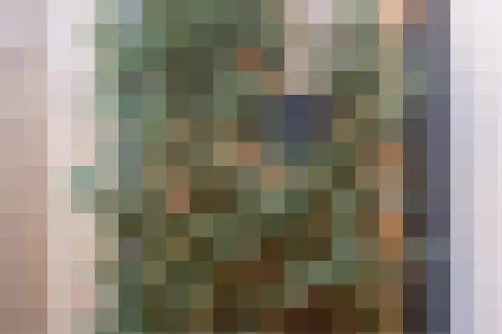 Jacobastraat 25 Velp thumbnail 55