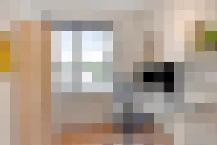 Jacobsdreef 4 Veldhoven thumbnail 13