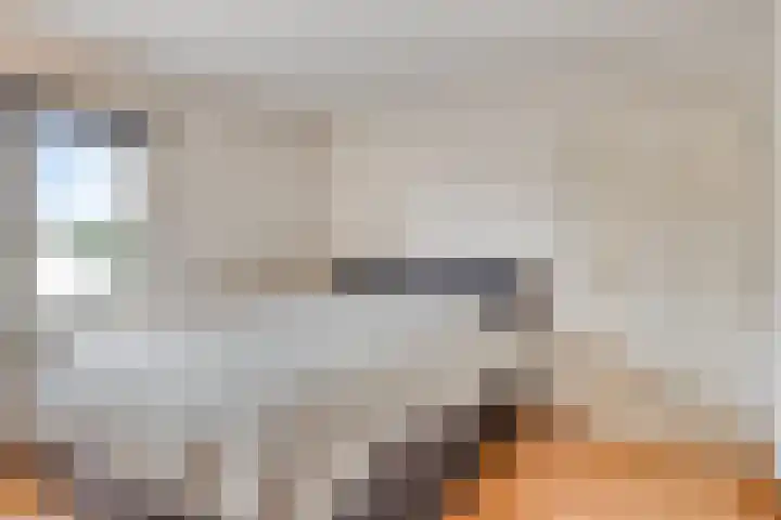 Jacobsdreef 4 Veldhoven thumbnail 14