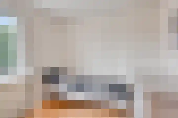 Jacobsdreef 4 Veldhoven thumbnail 16