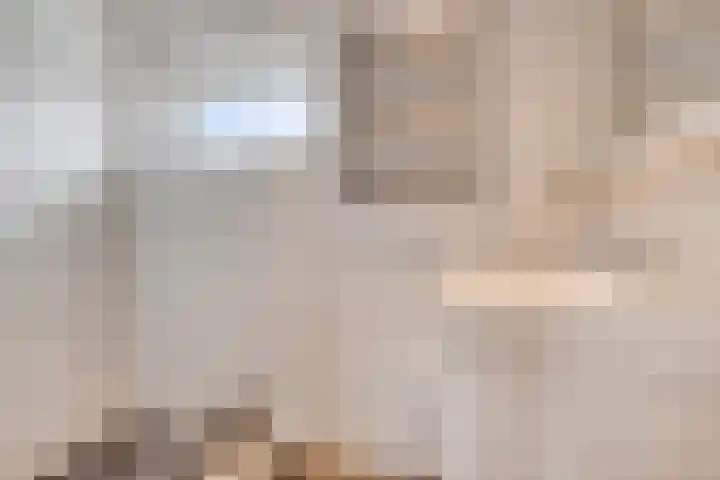Jacobsdreef 4 Veldhoven thumbnail 19