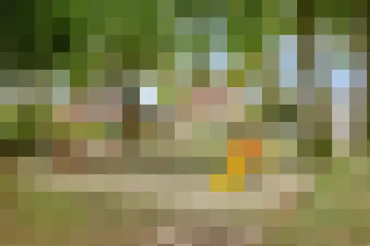 Jacobsdreef 4 Veldhoven thumbnail 29