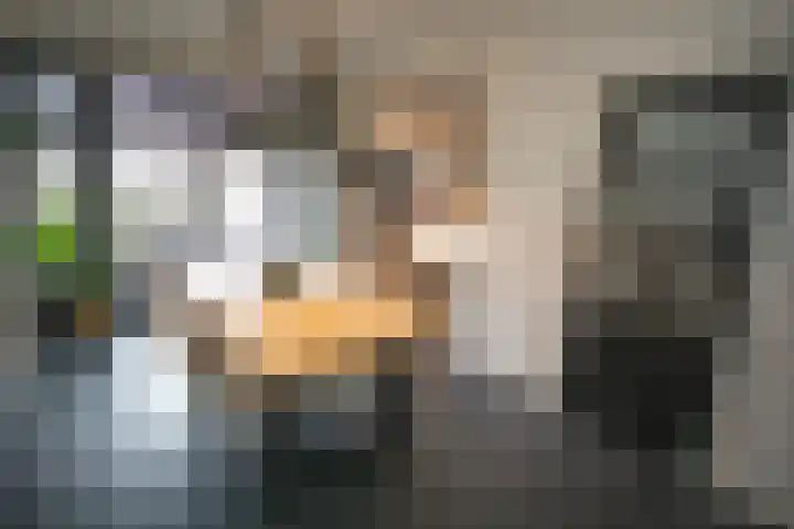 Jacobsonstraat 32 Wierden thumbnail 10