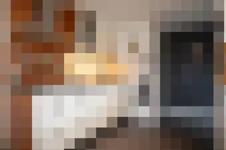Jacobsonstraat 32 Wierden thumbnail 25