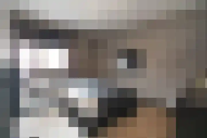 Jacobsonstraat 32 Wierden thumbnail 33