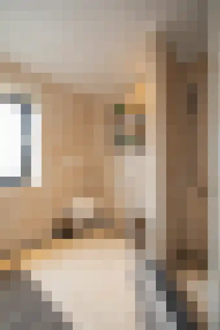 Jacobsonstraat 32 Wierden thumbnail 37