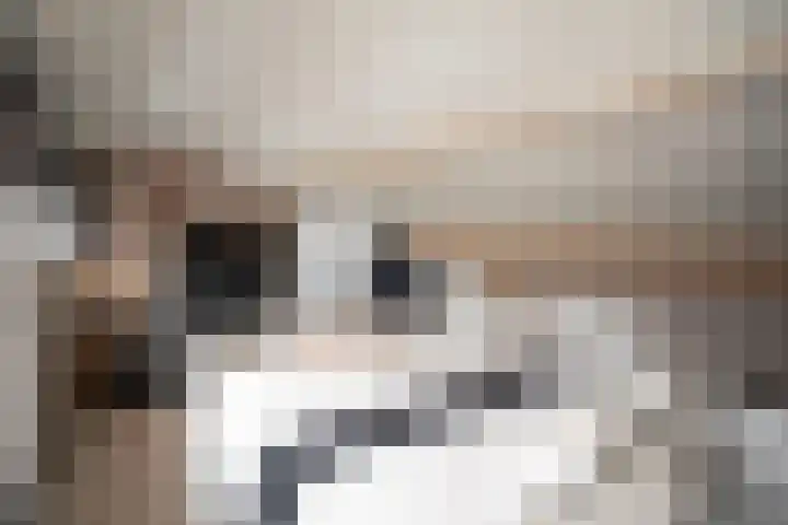 Jacobsonstraat 32 Wierden thumbnail 44