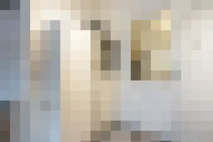 Jacobsonstraat 32 Wierden thumbnail 45