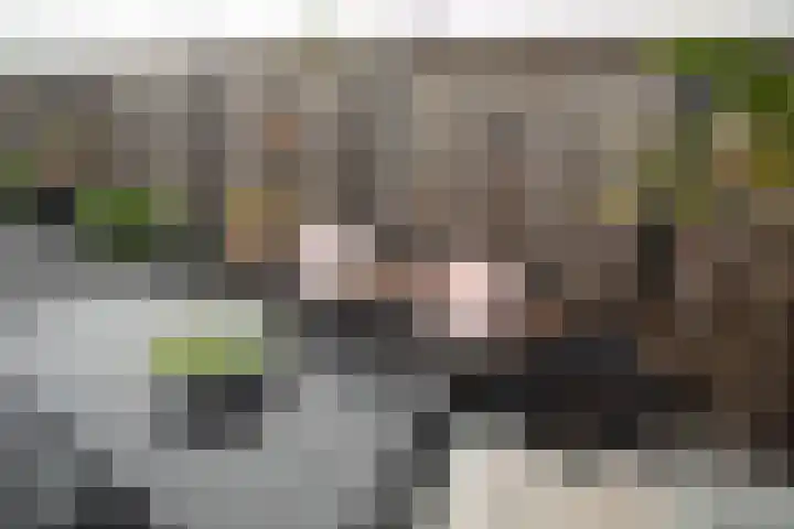 Jacobsonstraat 32 Wierden thumbnail 53