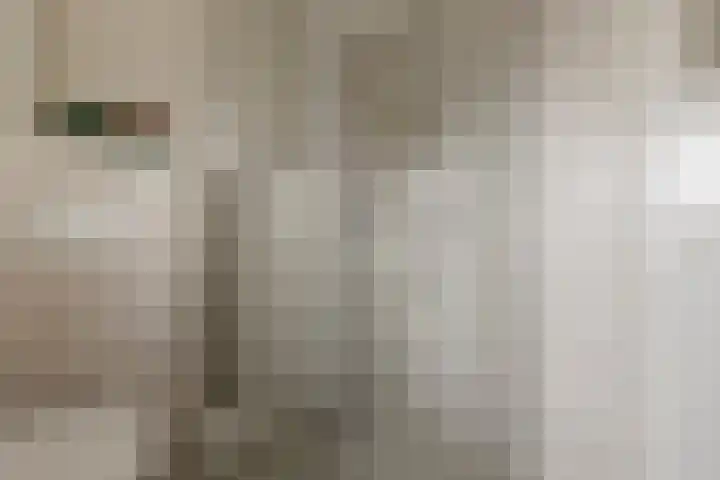 Jacobsonstraat 91 Wierden thumbnail 22