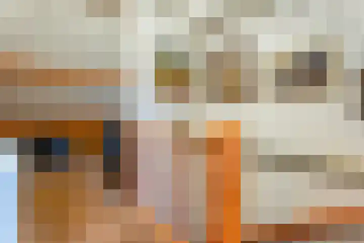 Jacobus van 't Hofflaan 5 Berkel-Enschot thumbnail 23
