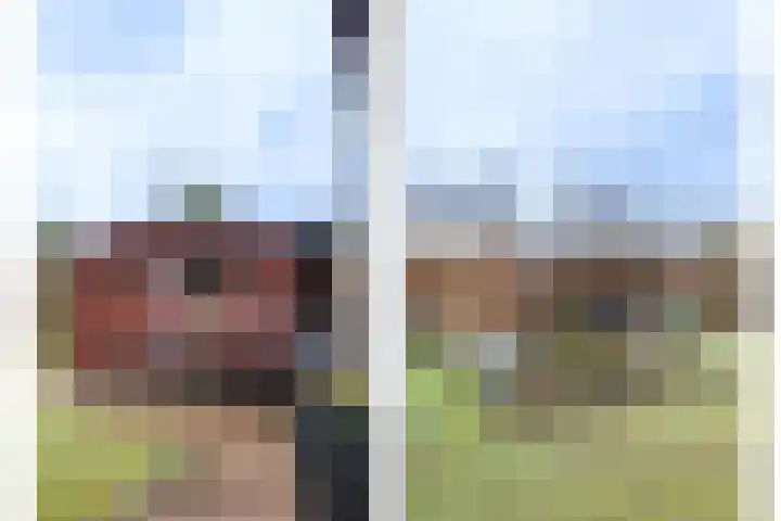 Jacobus van 't Hofflaan 5 Berkel-Enschot thumbnail 28