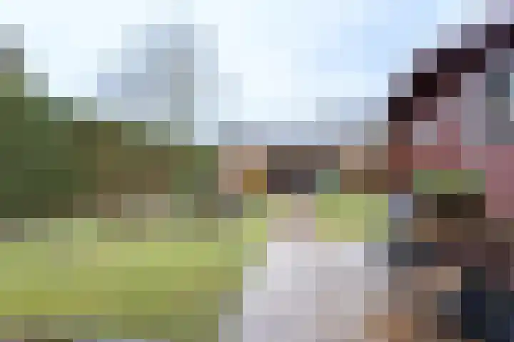 Jacobus van 't Hofflaan 5 Berkel-Enschot thumbnail 29