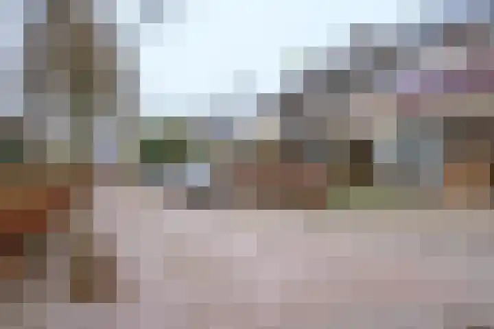 Jacobus van 't Hofflaan 5 Berkel-Enschot thumbnail 33