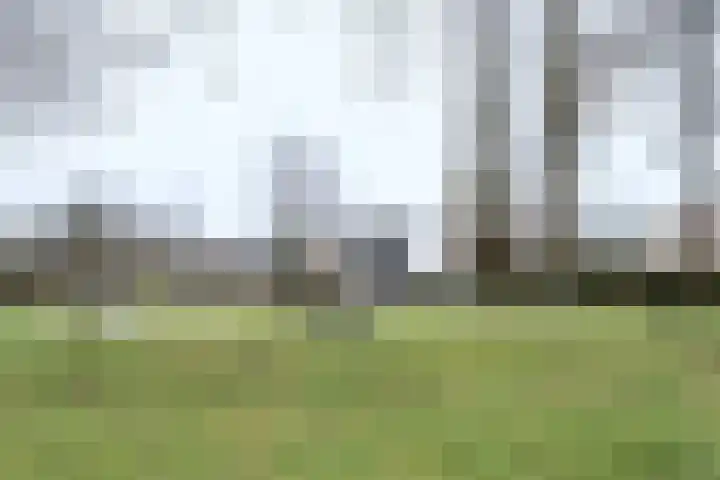 Jacobus van 't Hofflaan 5 Berkel-Enschot thumbnail 35