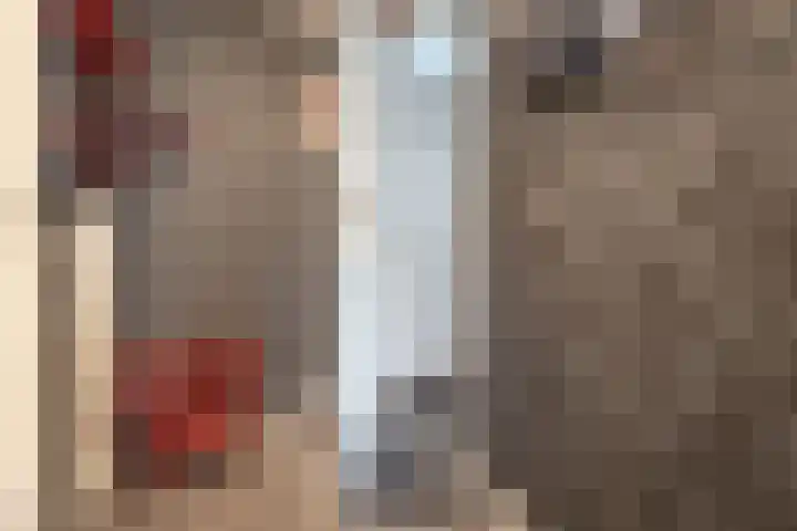 Jacobus van 't Hofflaan 5 Berkel-Enschot thumbnail 5
