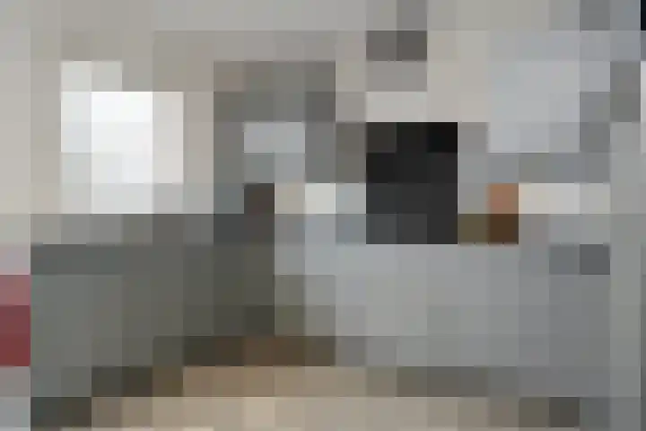 Jacquardstraat 17 Geldrop thumbnail 13