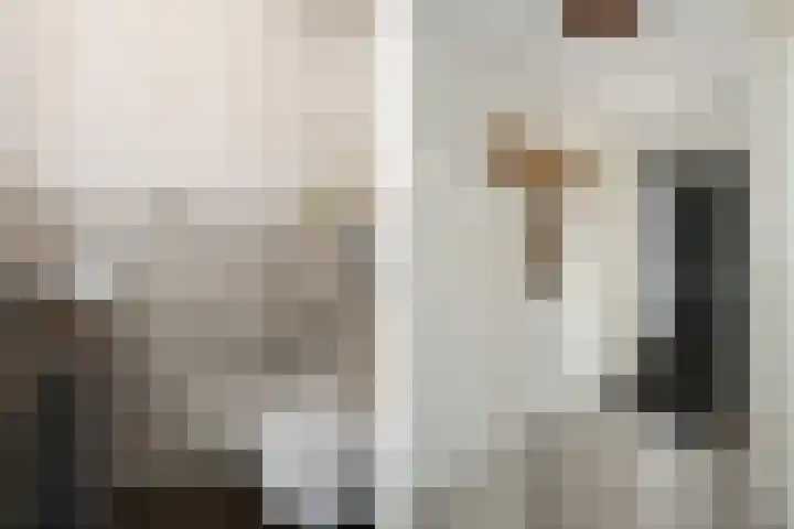 Jacquardstraat 17 Geldrop thumbnail 15