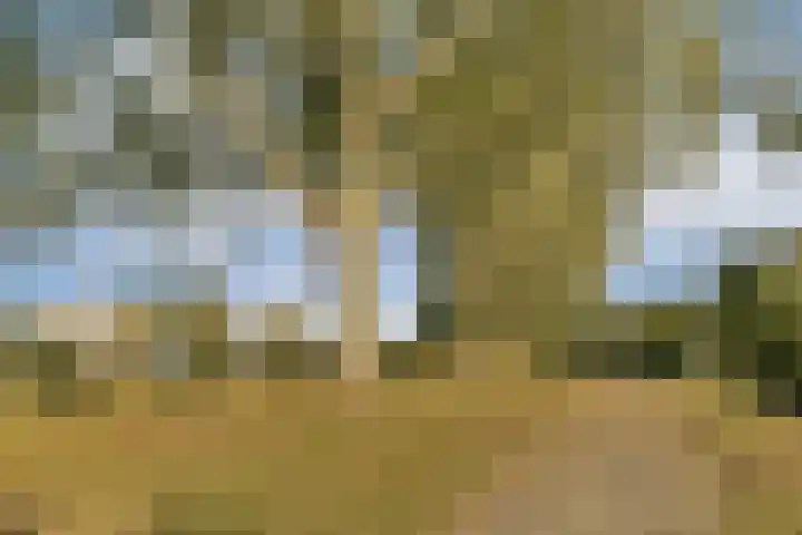Jacques Dutilhweg 649 Rotterdam thumbnail 27