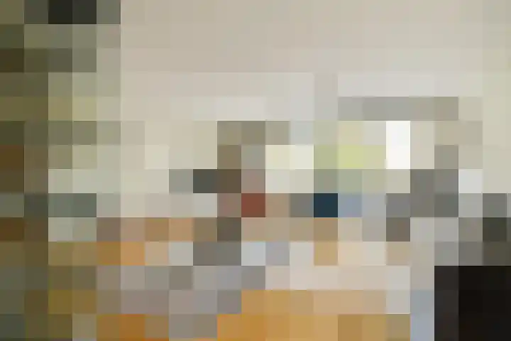 Jacques Dutilhweg 649 Rotterdam thumbnail 8