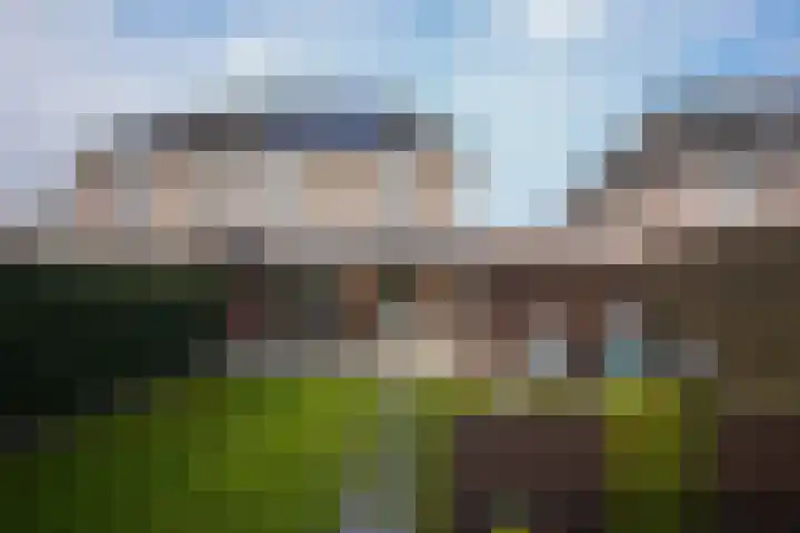 Jacques Lebel 33 Eijsden thumbnail 42