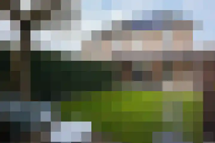 Jacques Lebel 33 Eijsden thumbnail 43