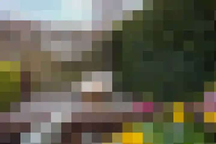 Jacques Lebel 33 Eijsden thumbnail 44