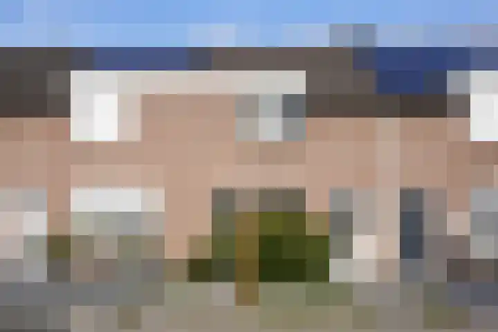 Jacques Lebel 6 Eijsden