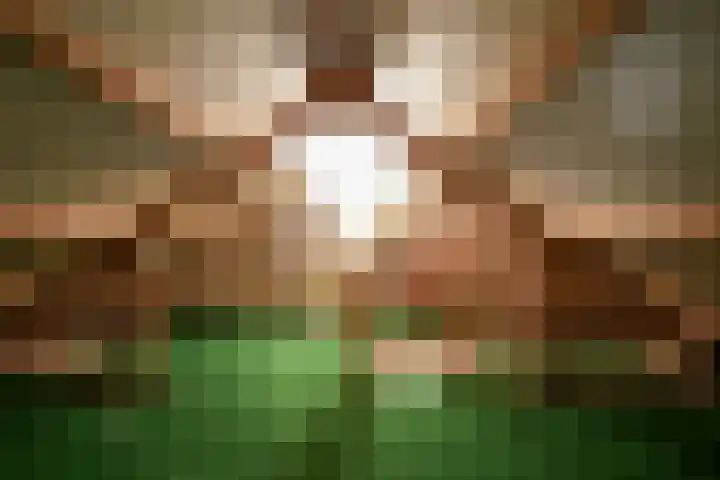 Jacques Lebel 6 Eijsden thumbnail 16