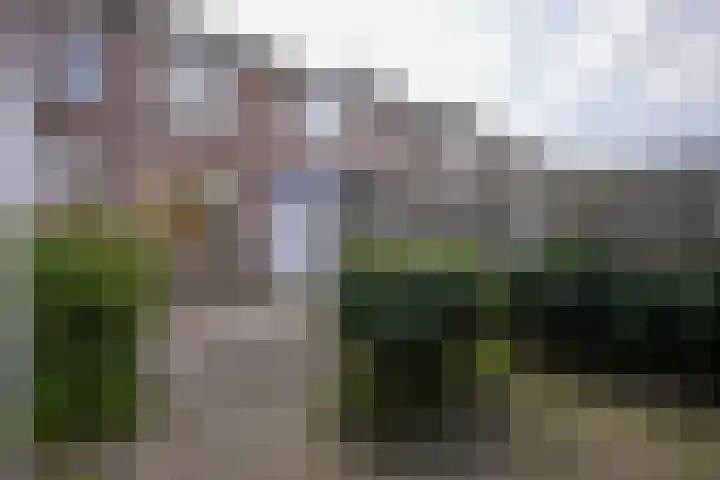 Jacques Lebel 6 Eijsden thumbnail 20
