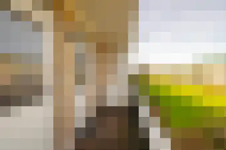 Jacques Perklaan 26 Haarlem thumbnail 22