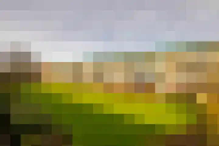 Jacques Perklaan 26 Haarlem thumbnail 23