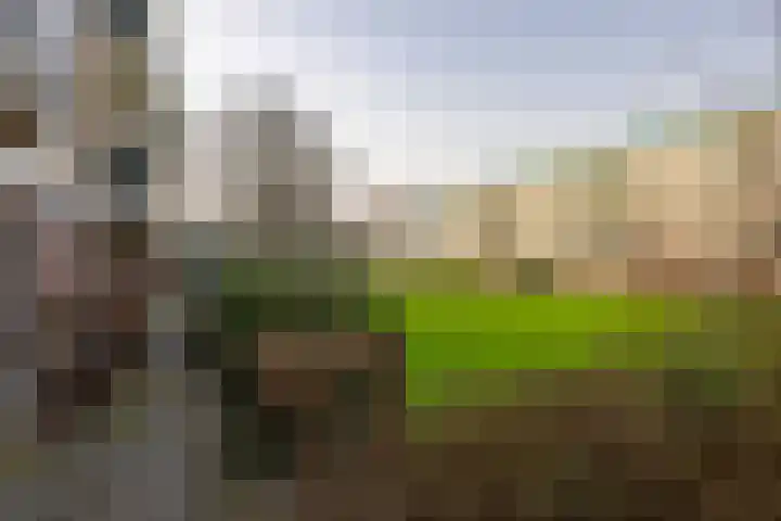 Jacques Perklaan 26 Haarlem thumbnail 37