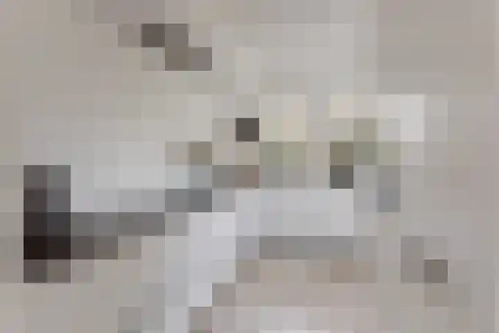 Jacques Perkstraat 2 Nijverdal thumbnail 4
