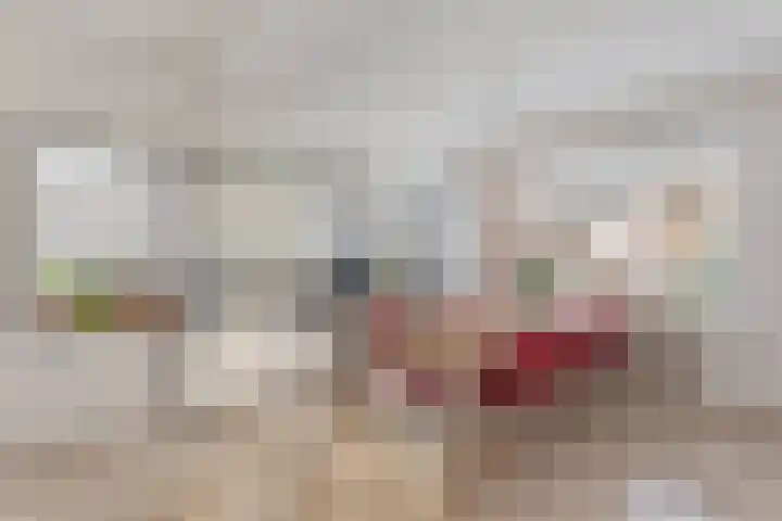 Jacques Perkstraat 2 Nijverdal thumbnail 7