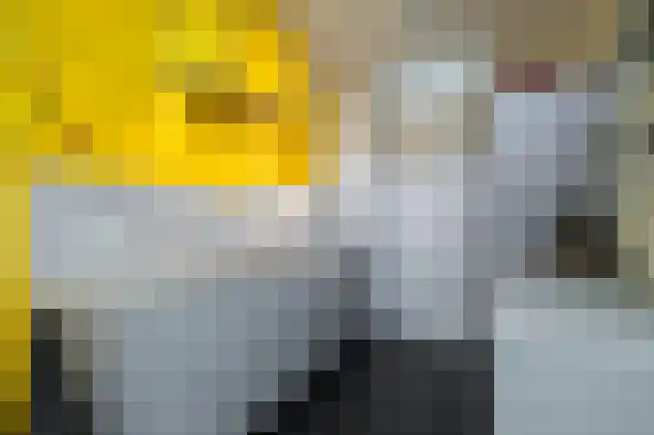Jacques Schreursstraat 17 Landgraaf thumbnail 10