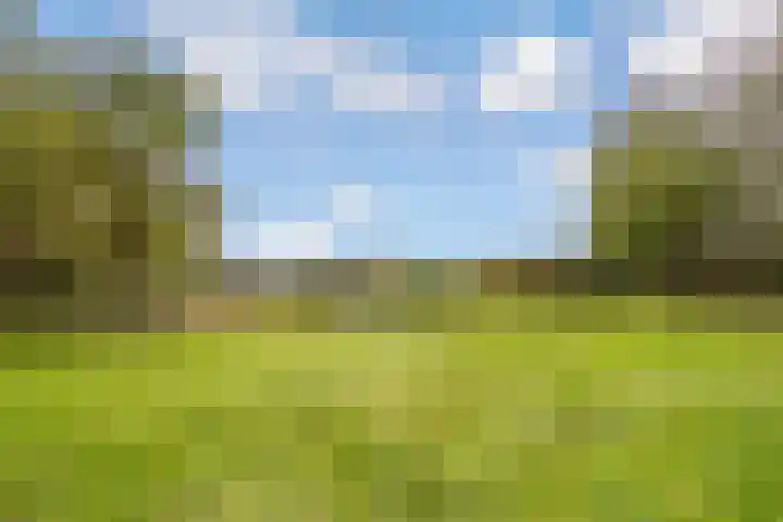 Jacques Tatilaan 60 Almere thumbnail 35