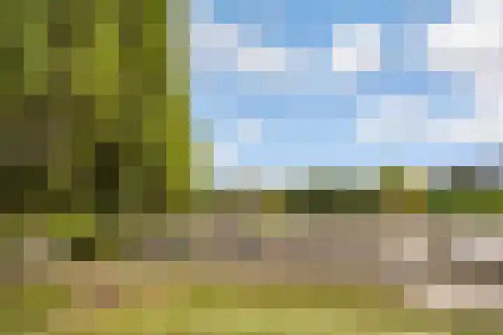 Jacques Tatilaan 60 Almere thumbnail 36