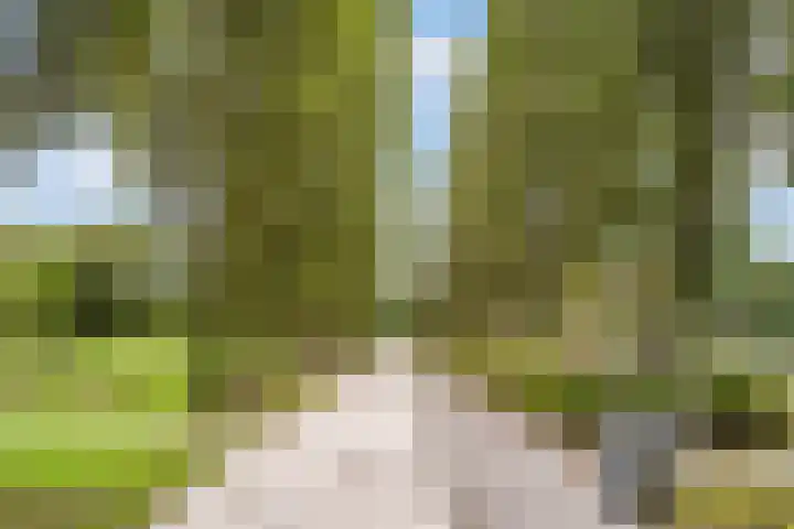Jacques Tatilaan 60 Almere thumbnail 37