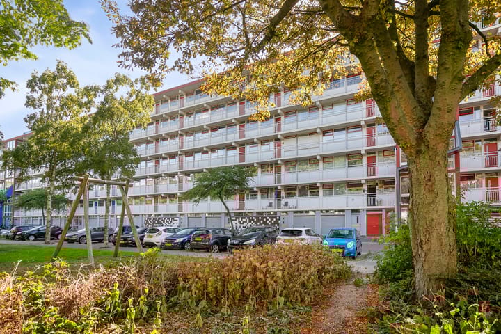 Jacques Urlusplantsoen 361 in Leiden foto