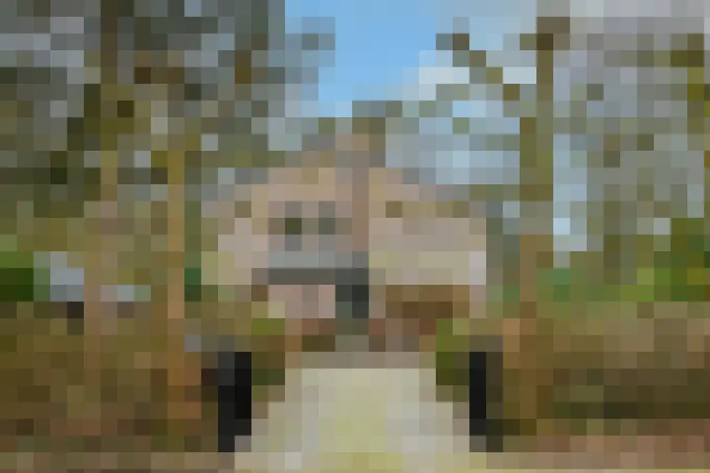 Jacques van Mourikpad 5 in Plasmolen