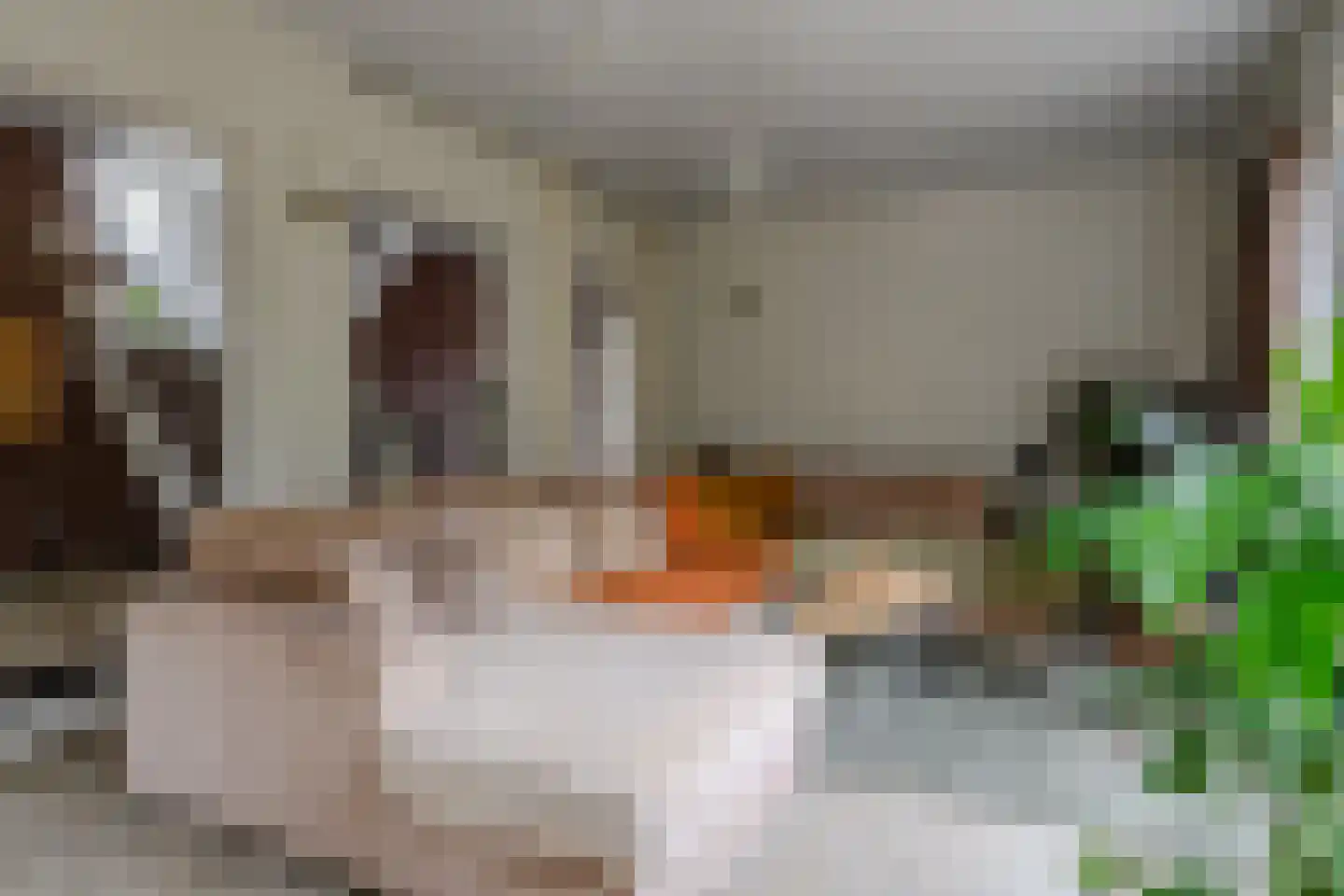 Jacques van Mourikpad 5 Plasmolen thumbnail 15