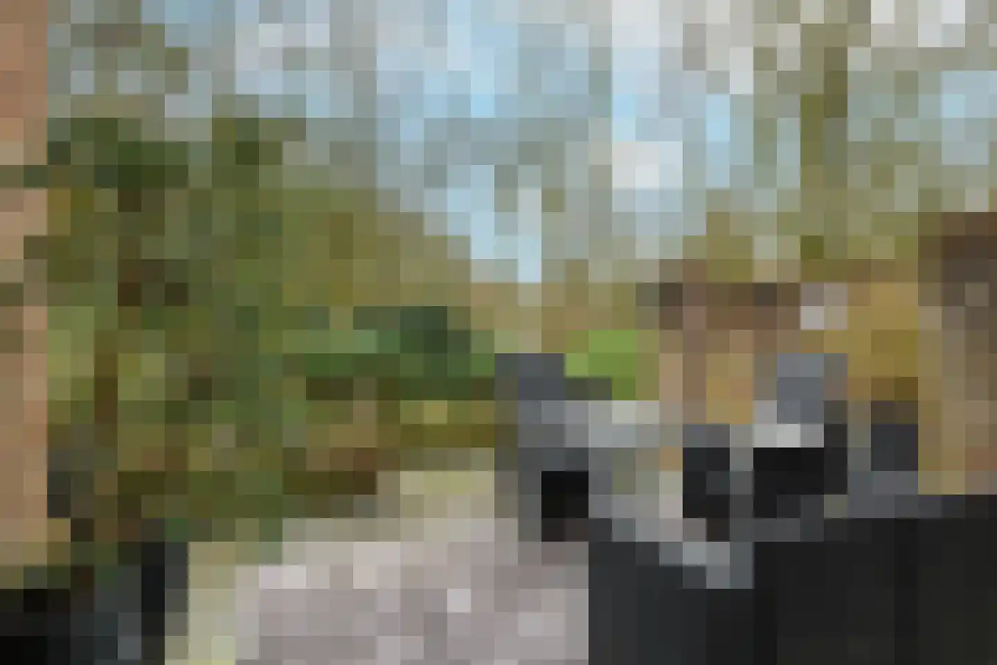 Jacques van Mourikpad 5 Plasmolen thumbnail 22