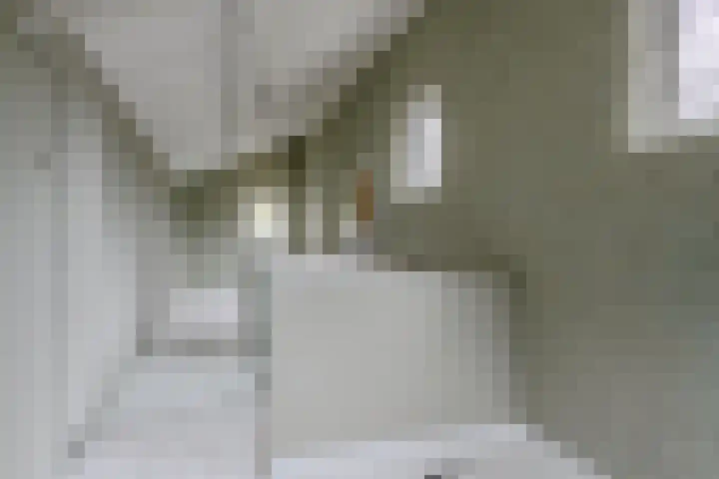 Jacques van Mourikpad 5 Plasmolen thumbnail 34