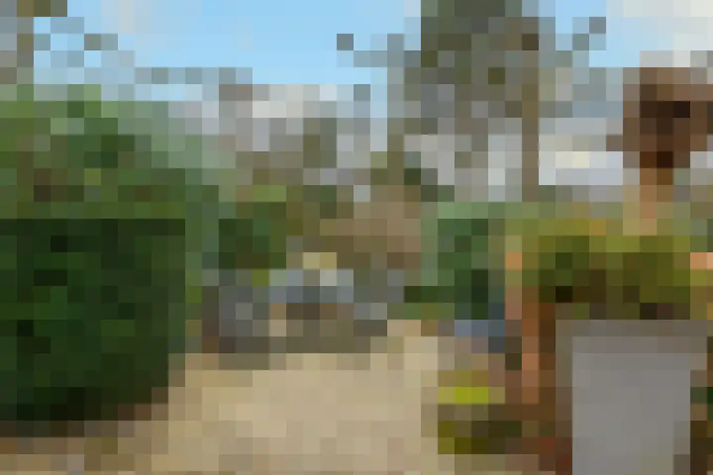 Jacques van Mourikpad 5 Plasmolen thumbnail 38